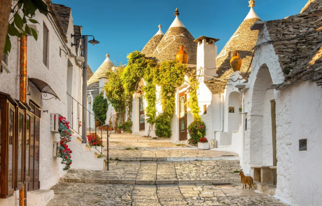 Senior Voyage Puglia, „tocul” Italiei si frumusetile sale 660 euro/pers plecare din Bucuresti 09.04 - Hotel Accord Le Rose 
