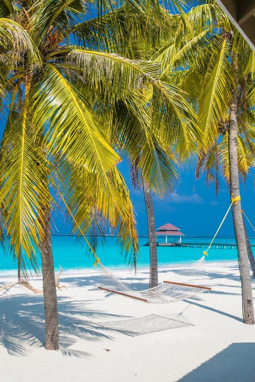 Last Minute Maldive / Hondaafushi Island Resort 4* - plecare din Bucuresti in 23.01