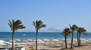 SUPER DEAL SHARM HOTEL AMARINA SUN RESORT  5* ALL INCLUSIVE PLECARE IN 21 IANUARIE PRET 443 EURO 7 NOPTI