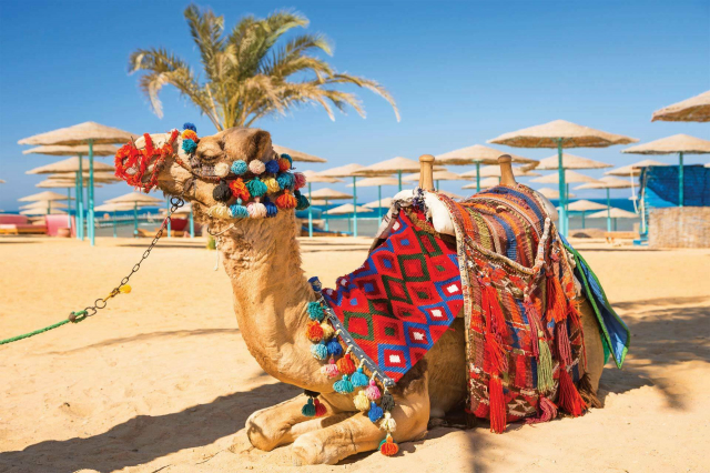 Sejur la plaja in Hurghada la 365 euro,avion din Bucuresti!!! Imperial Shams Abu Soma 4*