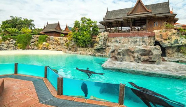 PASTE TENERIFE, SENIOR VOYAGE, AVION DIN BUCURESTI, LA HOTEL DE 4*, LA TARIFUL DE 884 EURO/PERS, DEMIPENSIUNE!