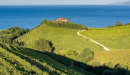 PASTE TARA BASCILOR SI NORDUL SPANIEI, SENIOR VOYAGE, AVION DIN BUCURESTI, LA TARIFUL DE 675 EURO/PERS, DEMIPENSIUNE!