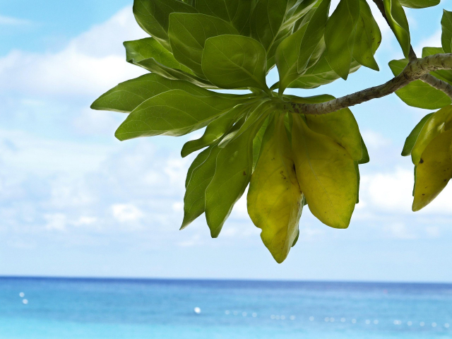 Ofertă Singapore - Phuket, sejur 9 nopți, cu plecare din Cluj-Napoca(TBI)