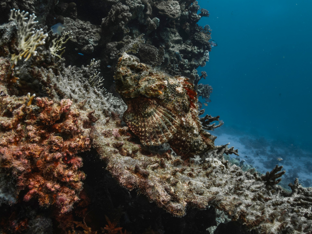 Oferta Egipt - Hurghada, cazare 7 nopti, cu plecare din Cluj-Napoca (LP)