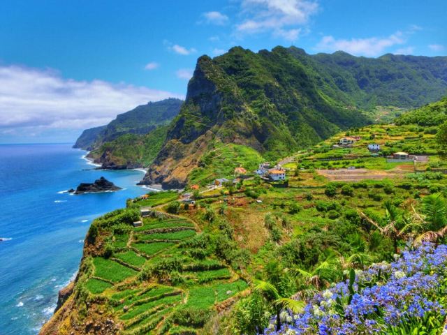 🔥✈️SUPER DEAL!!! MADEIRA CU PLECARE DIN BUDAPESTA(CC)
