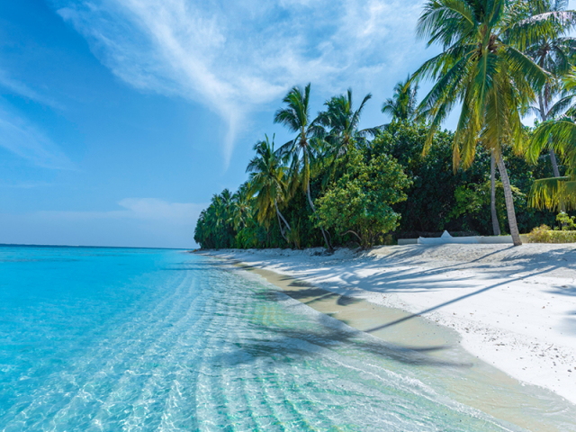 MALDIVE - Gulhi: 7 nopti cazare cu mic dejun + bilet avion Bucuresti (ZBOR DIRECT) + taxe aeroport + transfer = 1559 euro/pers