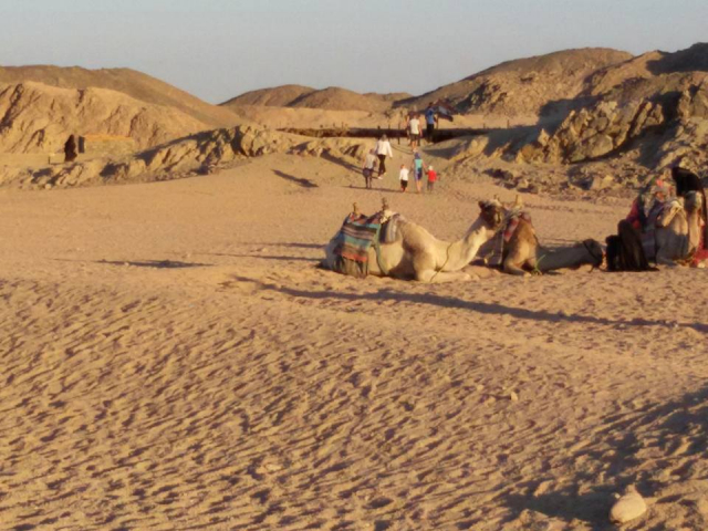 03.04  Egipt - Croaziera pe Nil si Comorile Faraonilor 1464 euro/pers/ pensiune completa. taxe aeroport si transfer incluse