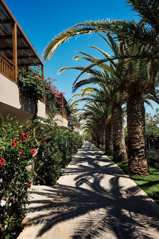 Sejur in Creta: 650 euro cazare 7 nopti cu All inclusive+ transport avion+ toate taxele 