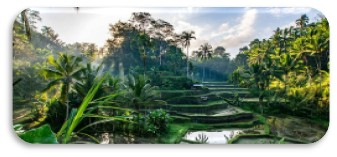 BALI, UBUD + PLAJA - ZBOR DIN CLUJ NAPOCA🌴