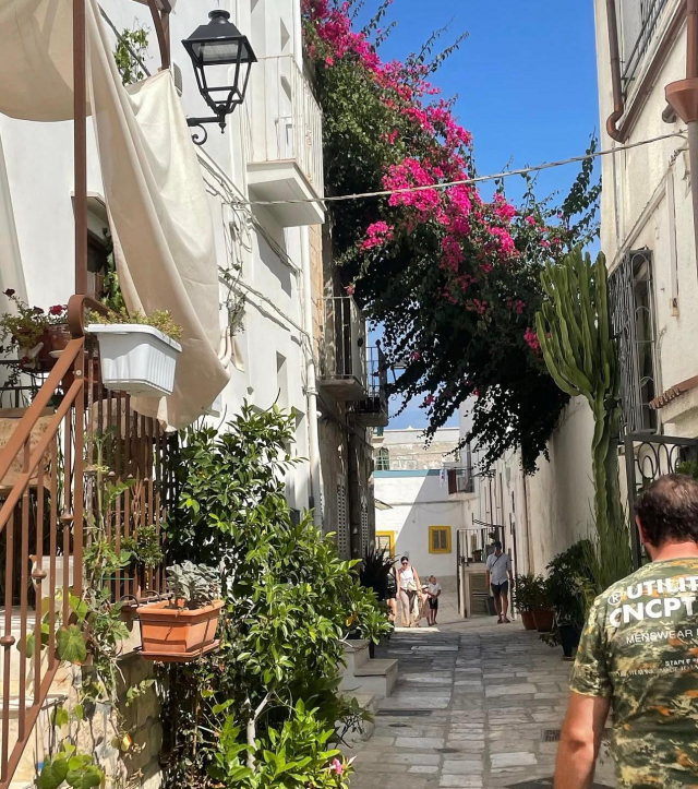 PETRECE PASTELE IN BARI ☀️