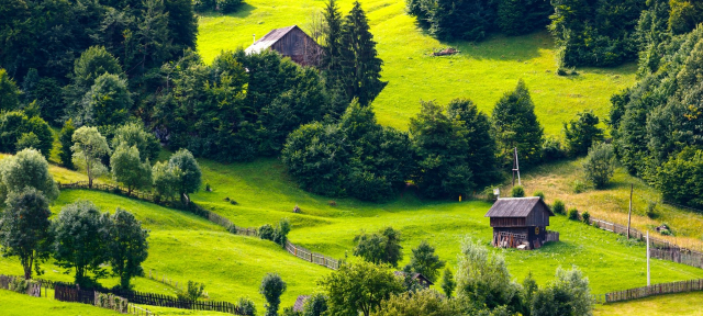 Sejur in El Alamein: 850 euro cazare 7 nopti cu All inclusive+ transport avion+ toate taxele 