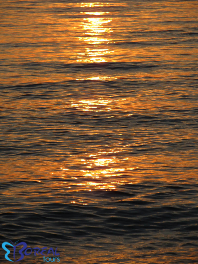 22.05 Autocar din Bucuresti, Grecia, Halkidiki, Hanioti l , Simotel Ermis Hotel 303 euro/pers/7 nopti mic dejun