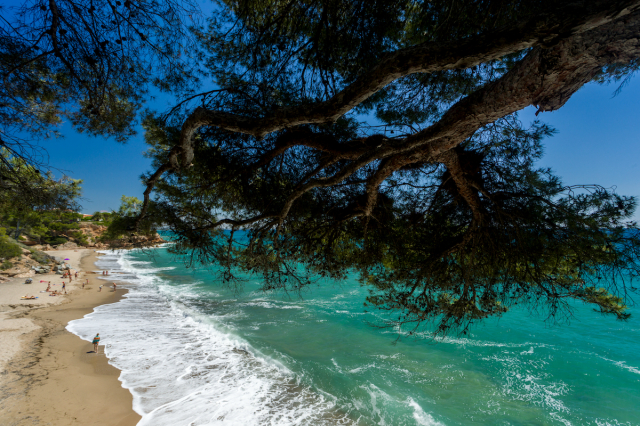 Super Oferta! Vacanta ta pe Dorada de la doar 850 euro/pers! Zbor din Timisoara 