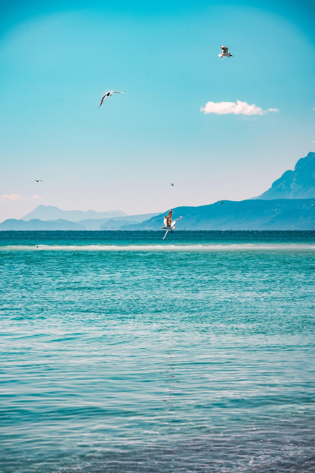 SUPER OFERTA TURCIA, EOS BEACH RESORT 4*, ZBOR DIN BUCURESTI, 7 NOPTI CAZARE CU ALL INCLUSIVE