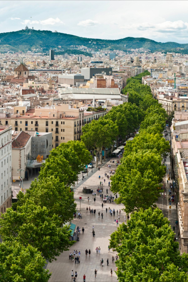 💃 De la Gaudí la Gran Vía: Aventură în Barcelona &amp; Madrid ✨ circuit individual cu zbor din București