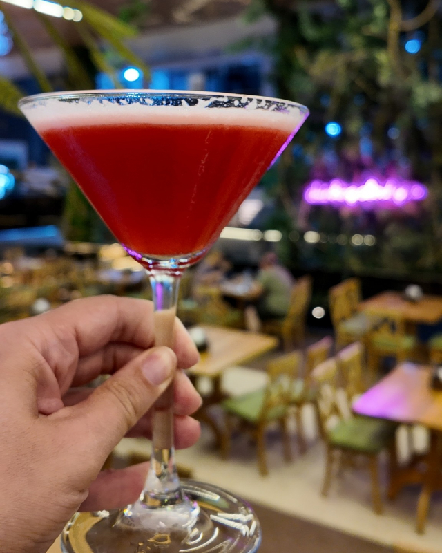 SUPER OFERTA ROMANIA STATIUNEA NEPTUN, HOTEL TERRA 4*, 5 NOPTI CAZARE ALL INCLUSIVE