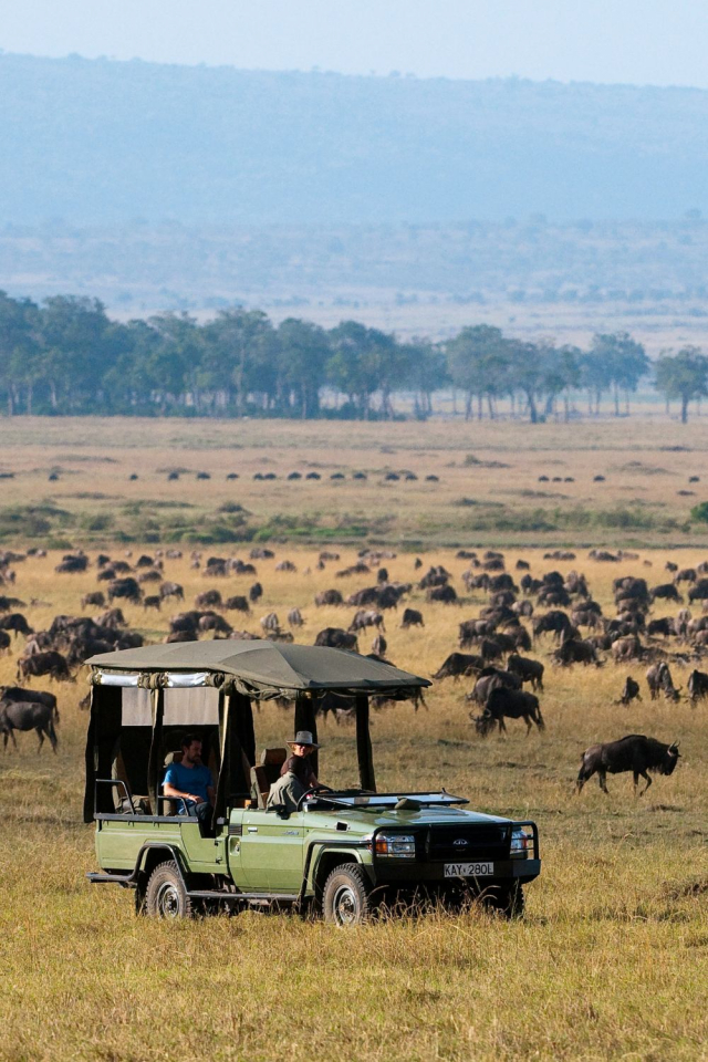 OFERTĂ SPECIALĂ – KENYA &amp; SAFARI MASAI MARA cu zbor din București