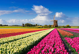 Circuit Belgia - Olanda - Luxemburg - cu zbor din Bucuresti!