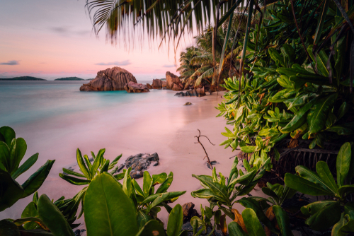 Last Minute Seychelles (TBI)