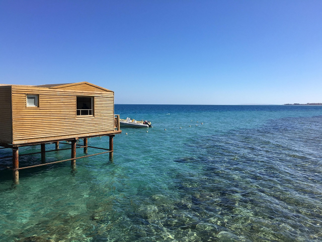 Oferta Egipt- Hurghada, sejur 7 nopti, cu plecare din Cluj Napoca (LP)