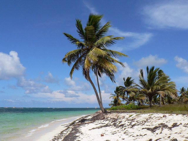 Oferta Republica Dominicana - Punta Cana, sejur 7 nopti, cu plecare din Budapesta (OR)