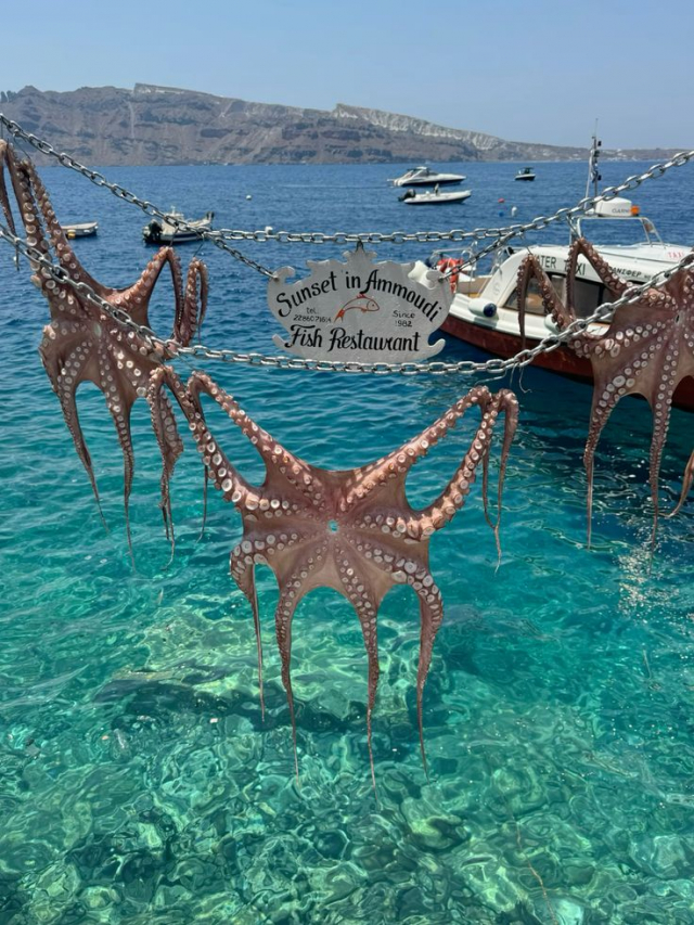 SUPER OFERTA !SEJUR 7 NOPTI CRETA - ZBOR DIN BRASOV ✈️☀️🌊⛵