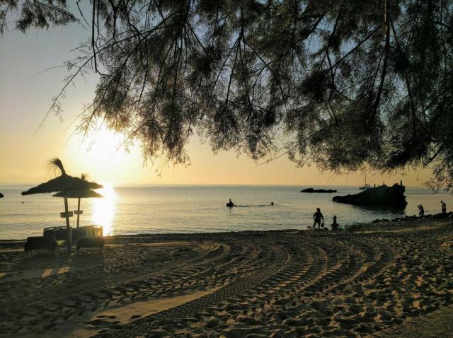 ULTRA LAST MINUTE PALMA DE MALLORCA 3*** ZHIMBAD  ZBOR DIRECT DIN OTOPENI CU TAXE INCLUSE