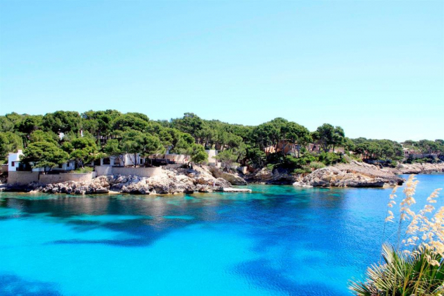 ULTRA LAST MINUTE MALLORCA 4****DEMIPENSIUNE  BELLA PLAYA SPA ZBOR OTOPENI CU TAXE INCLUSE