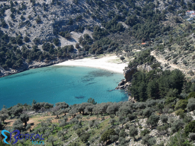 05.08 Autocar din Bucuresti, Grecia, Thassos Skala Potamia Studio Viky 270 euro/pers/7 nopti fara masa