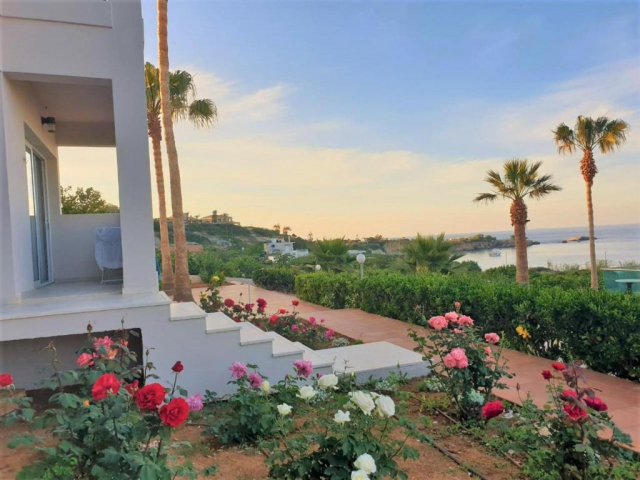 ULTRA LAST MINUTE INSULA CRETA 4**** SARADARI  BEACH HOTEL ZBOR CHARTER DIN OTOPENI  CU TAXE INCLUSE