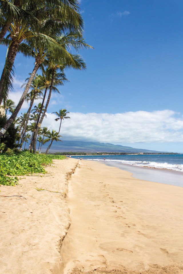 Ofertă HAWAII - HONOLULU, sejur 10 nopti, cu plecare din plecare din Bucuresti  (OR)