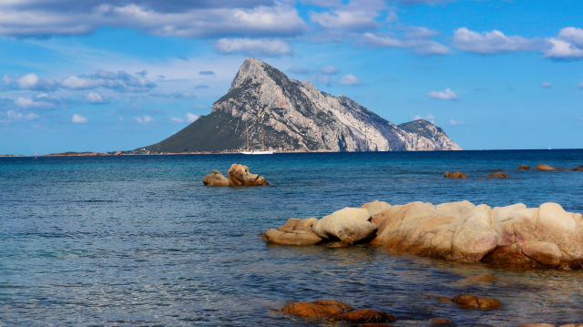 🌊 OFERTĂ ☀️ Sejur SARDINIA🏝️ 7 nopți ✈️ plecare din Cluj-Napoca (AM)