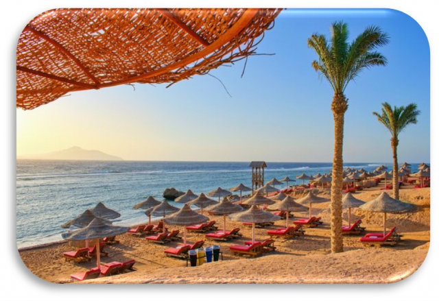 LAST MINUTE! SEJUR SHARM EL SHEIKH CU ZBOR DIN SUCEAVA ✈️