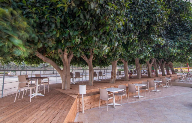 ULTIMELE LOCURI CRETA HERAKLION, AVION DIN BUCURESTI, LA HOTEL CHRISSYS PARADISE  3*, LA TARIFUL DE 589 EURO/PERSOANA, AI!