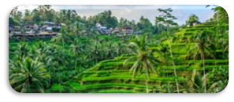BALI, UBUD + PLAJA CU ZBOR DIN BUCURESTI ✈️