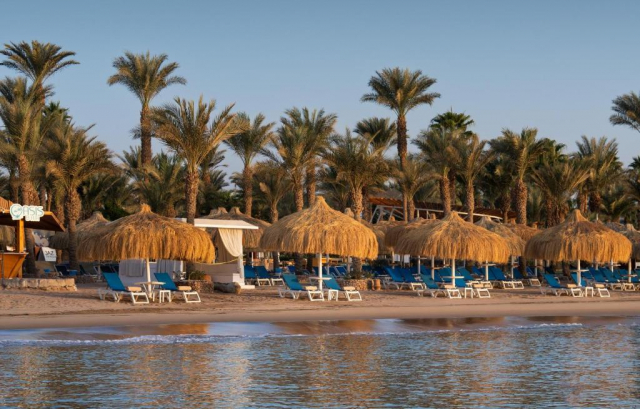 Sejur in Sharm El Sheikh: 650 euro cazare 7 nopti cu All inclusive+ transport avion+ toate taxele