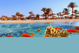 Sejur la plaja in Hurghada la 846 euro,avion din Sibiu!!!Hotel Tropitel Sahl Hasheesh 5*