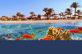  Sejur la plaja in Hurghada la 1053 euro,avion din Timisoara!!!The V Luxury Sahl Hasheesh Resort 5*