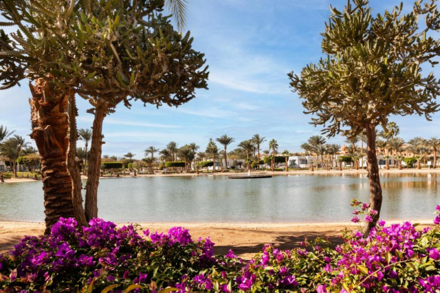 ULTIMELE LOCURI EGYPT 5***** PHARAOH AZUR ALL INCLUSIVEZBOR CHARTER DIN OTOPENI/ORADEA/ CLUJ NAPOCA CU TAXE INCLUSE