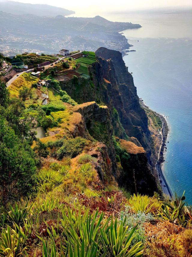 Last   Minute Madeira , sejur 7 nopti , cu plecare din Bucuresti(LP)