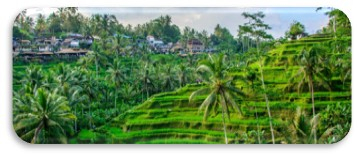 BALI, UBUD + PLAJA, 8 NOPTI CU ZBOR DIN BUCURESTI ✈️