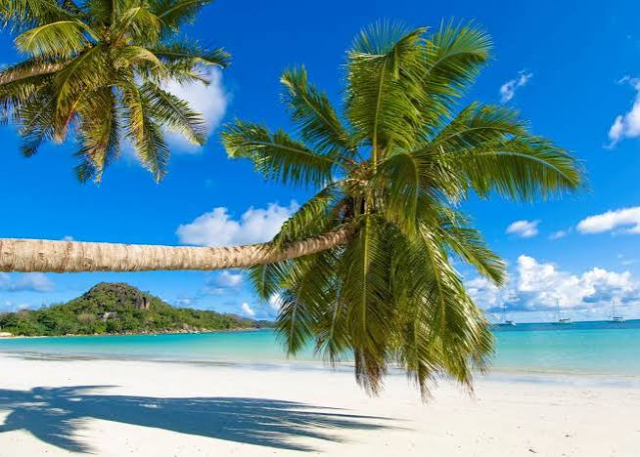 SEYCHELLES, GRADINA EDENULUI SI PRASLIN&amp;MAHE, AVION DIN BUCURESTI, LA HOTEL DE 4*, LA TARIFUL DE 3250 EURO/PERS, MIC DEJUN!