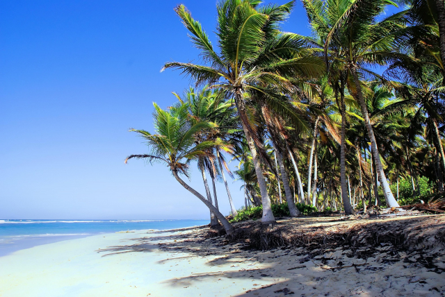  OFERTĂ ☀️ Sejur PUNTA CANA 🏝️ 9 nopți ✈️ plecare din Cluj Napoca (LP)