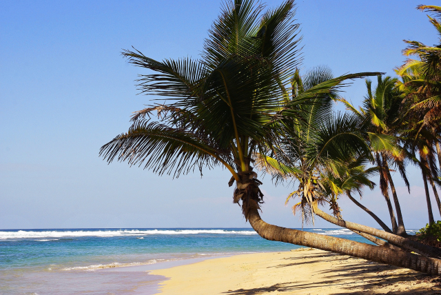 🌊 OFERTĂ ☀️ Sejur PUNTA CANA 🏝️ 9 nopți ✈️ plecare din Cluj Napoca (LP)