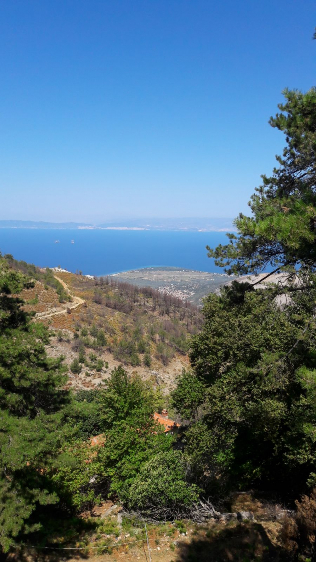 24.09 Grecia, Thassos GOLDEN BEACH STUDIO PANORAMA 116 euro/pers/7 nopti fara masa / sejur individual