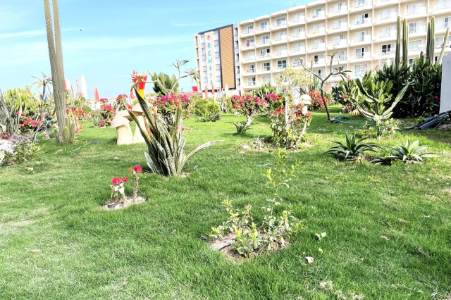 Sejur in Hurghada: 600 euro cazare 7 nopti cu Ultra All inclusive+ transport avion+ toate taxele 