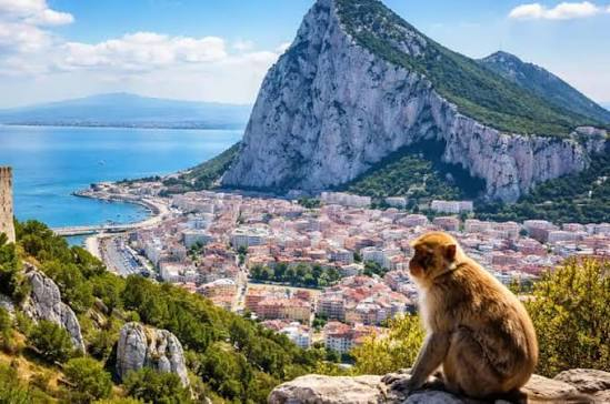 COSTA DEL SOL SI ANDALUZIA, SENIOR VOYAGE, AVION DIN BUCURESTI, LA HOTEL DE 4*, LA TARIFUL DE 760 EURO/PERS, DEMIPENSIUNE!