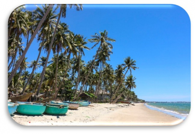 VIETNAM! HO CHI MINH + PHAN THIET CU ZBOR DIN CLUJ ✈️