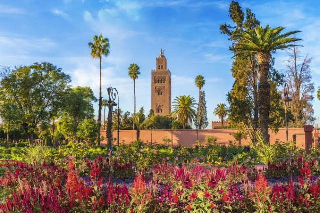 CITY BREAK DE VIS IN MAROC-MARRAKESH, PLECARE DIN CLUJ NAPOCA (CC)
