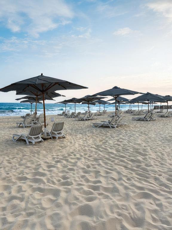 Sejur in El Alamein: 690 euro cazare 7 nopti cu All inclusive+ transport avion+ toate taxele